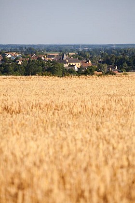 Saint Pierre des Bois circuit n°16