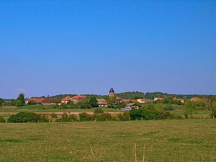 À VTT ET À CHEVAL AUTOUR DE DIEUZE