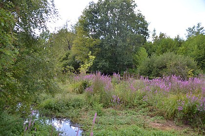 La vallée de la Conie