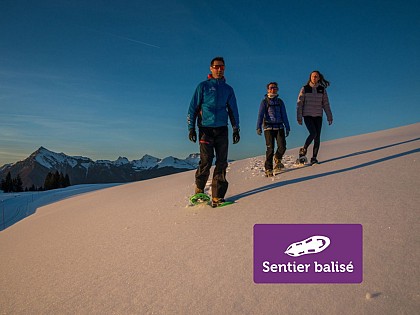 Pierre Basse (Agy) - Winter hike