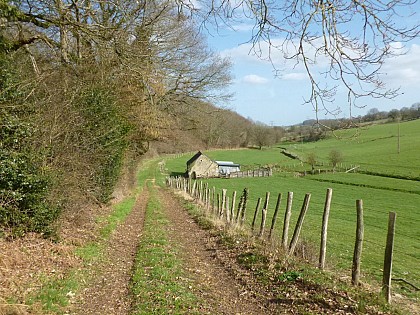 BEAUMONT-PIED-DE-BOEUF / Eaux et forêt