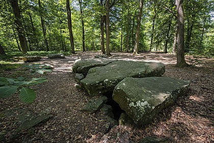从维阿姆到普雷莱斯