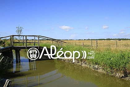 Nalliers : Autour de la Douve, en 1 jour