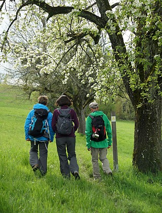 LA CHAPELLE-AUX-CHOUX / Circuit des trois provinces