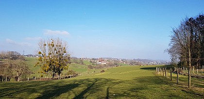 A vélo sur les hauteurs de Flémalle