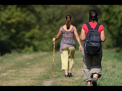 CIRCUIT DE COURBEVEILLE