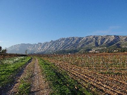 Le sentier des vignerons de Puyloubier