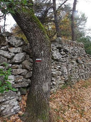 Le sentier vigneron de Trets