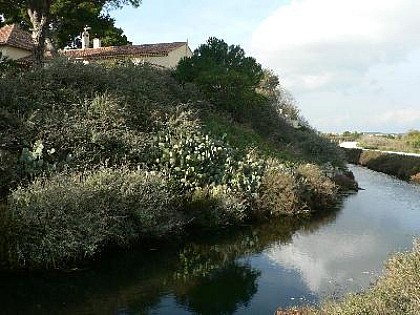 Les salins de Fos sur Mer