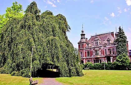 Huy, à travers les parcs d'une ville durable - Balade PCDN N°7