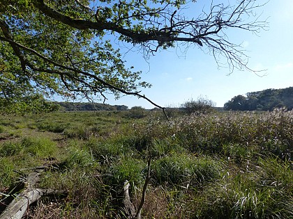 Le sentier du Marais du Gua