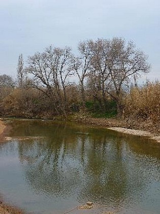 Berre l'Etang : la randonnée des amis