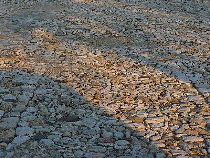 Dans les collines de la Fare-les-Oliviers