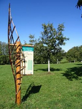 Châtaigneraie conservatoire de Dournazac