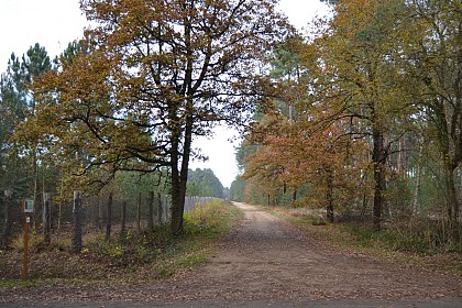 Circuit des Buttes - Laigné-Saint-Gervais - LSG4