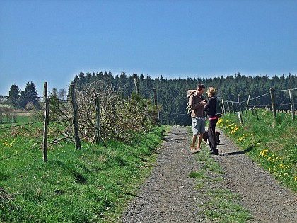 Circuit de Rechagny - Les Sauvages