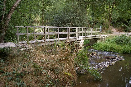 Circuit PR "La croix à coquilles"