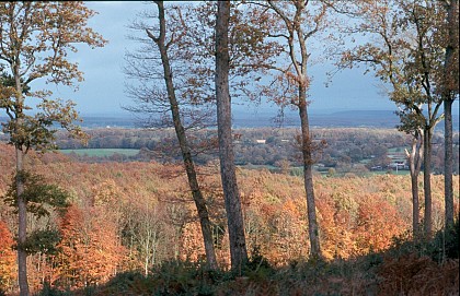 CIRCUIT PEDESTRE "HÊTRE" - NEUFCHÂTEL EN SAOSNOIS