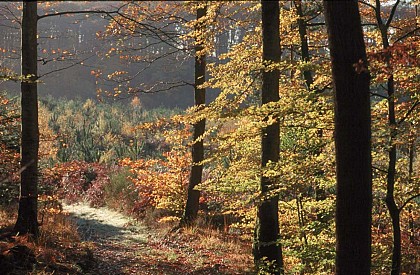 CIRCUIT VTT N°6 - ROUGE - "LES 3 PONTS"