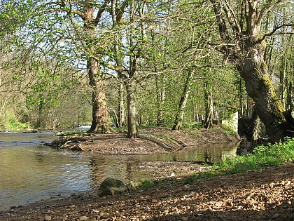 Sentier Libellule au bord de la rivière