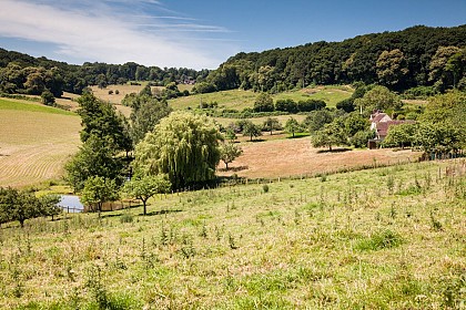 N°8 : Au coeur du bocage Percheron