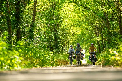 La Vallée du Loir à vélo : voie verte Le Lude - La Flèche