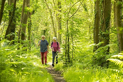 Boucle des Mésangères