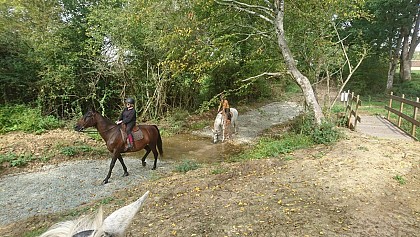 CIRCUIT MAINE COEUR DE SARTHE A CHEVAL 1