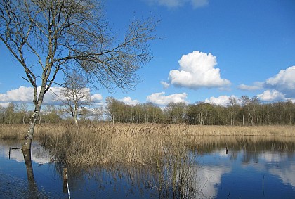 Cré-sur-Loir - le circuit bois et marais