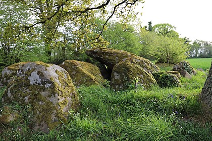 Boucle Calanhel-Lohuec - n°9