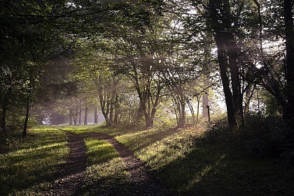 Station VTT n°12 - Circuit de la Chapelle Neuve