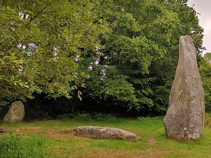 Station VTT n°09 - Circuit des Menhirs