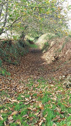 Circuit Fleuriot de Langle - Quemper-Guézennec