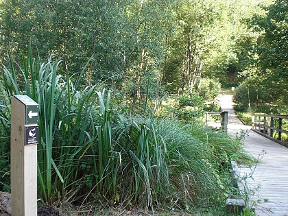 Sentier découverte Secrets de Vallée