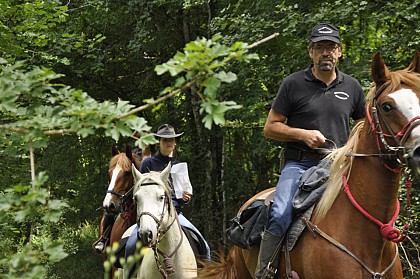 Boucle équestre des 5 chênes - Vosges du sud