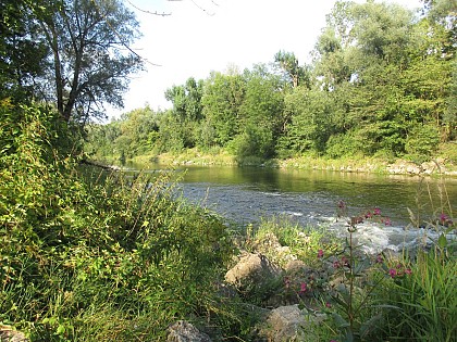 À la rencontre de la Flora