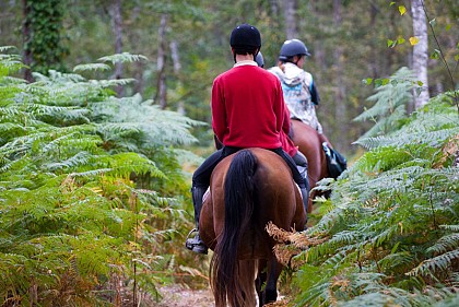 Circuit n°4 : Au Pays d'Alain-Fournier - variante 2