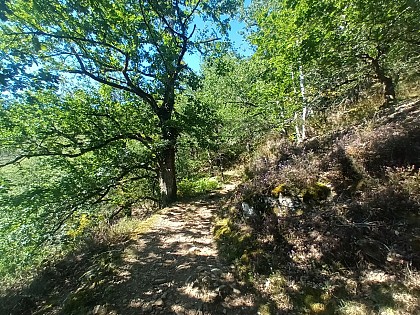 Hiking trail - The Goul Valley
