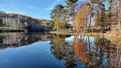 Rando pédestre - Lascombes-Basses