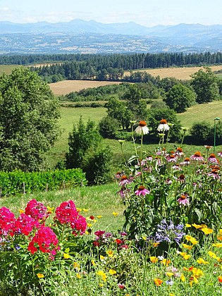 Rando pédestre - Le Pénard