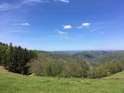 Hiking trail - Montsalvy Riols