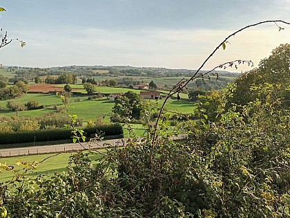 Rando pédestre - Chante Cigale