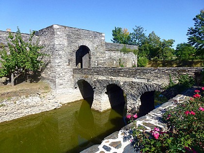 SAINT-JEAN-DES-MAUVRETS - 82 - BUCHÊNE