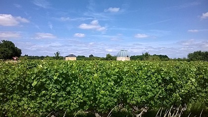 SAINT-SATURNIN-SUR-LOIRE - 83 - CIRCUIT DES PETITS CANARDS