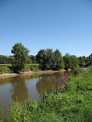 CHALONNES-SUR-LOIRE - 21 - VALLEE DU LAYON