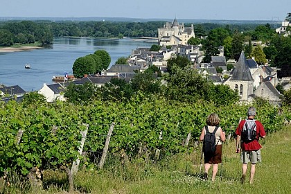 Circuit de randonnée : Un village et son château entre Loire et troglodytes