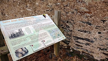 SENTIER D'INTERPRÉTATION DU VIGNOBLE DE L'AUBANCE : LA VIGNE AU FIL DU TEMPS