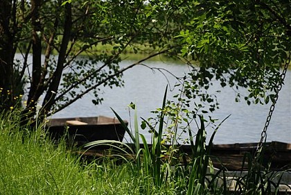Balade découverte des boires de Drain