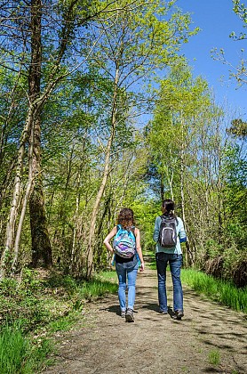 Randonnée "De la forêt à la lande"