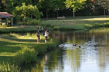 Circuit VTT "La Croix Verte"